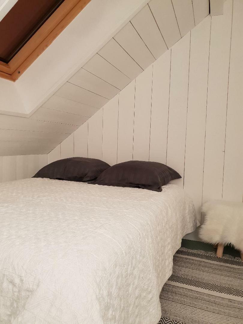La Baie Des Voiles 3 Chambres 4 A 6 Personnes Au Bord Du Lac Plage Privee Duingt Eksteriør billede