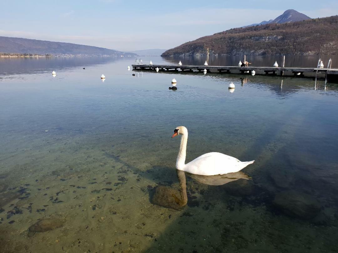 La Baie Des Voiles 3 Chambres 4 A 6 Personnes Au Bord Du Lac Plage Privee Duingt Eksteriør billede